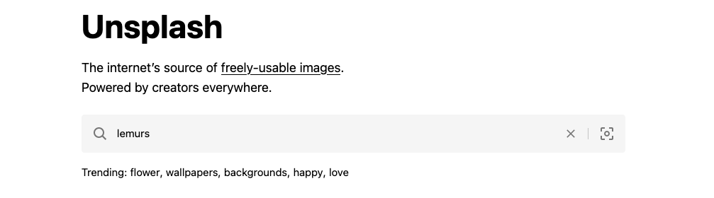 Unsplash search heading with the word "lemur" in the search input.